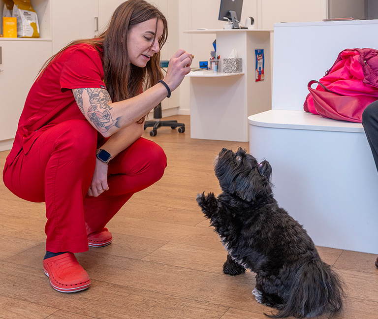 Accompagnement en cas de maladie