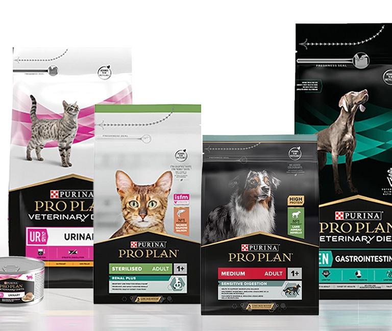 Alimentation v&eacute;t&eacute;rinaire