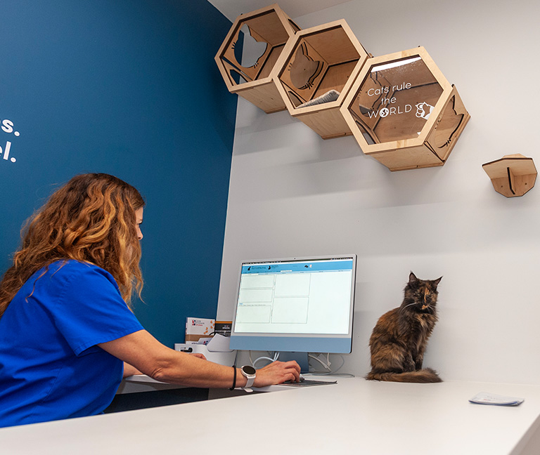 Consultations & hospitalisations