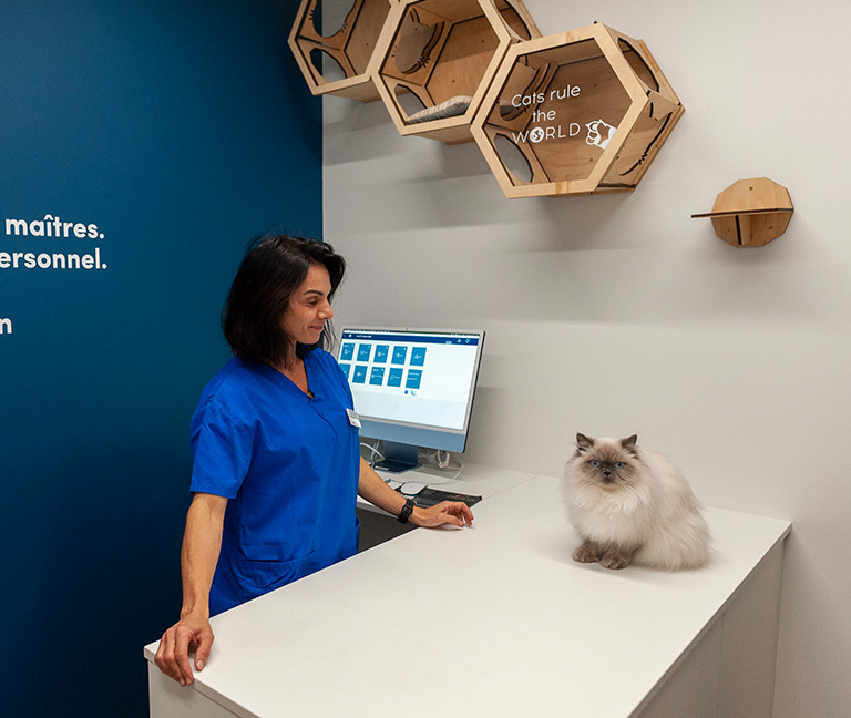 Des r&eacute;sultats imm&eacute;diats pour une meilleure prise en charge