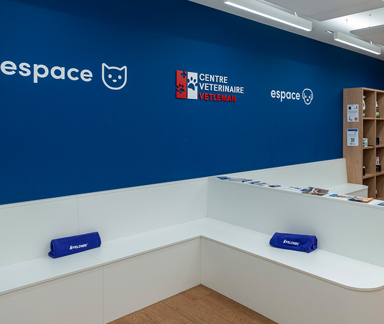 Espaces séparés chiens et chats