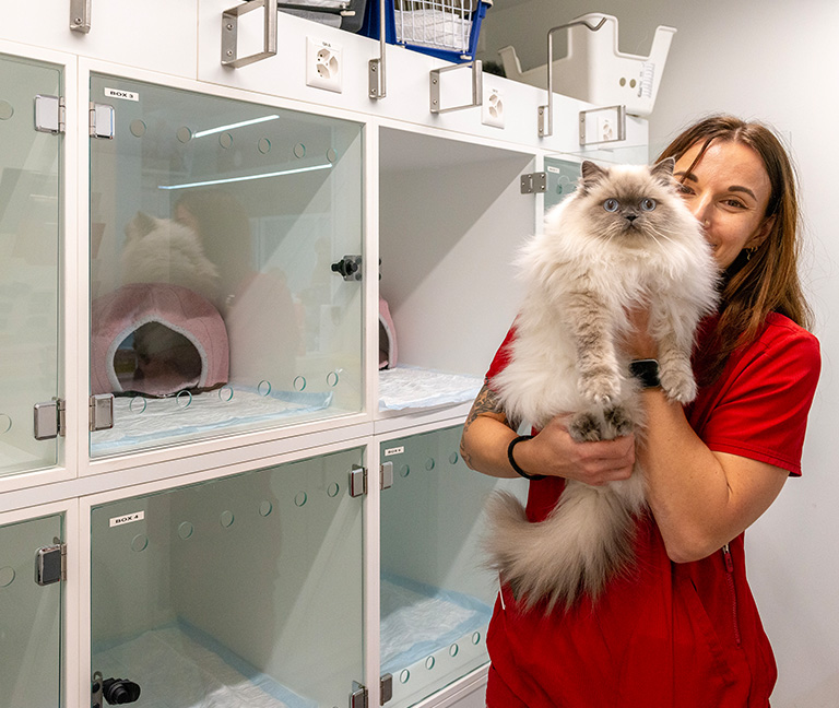 Hospitalisation confortable