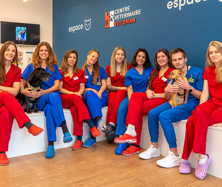 Nos atouts pour vos animaux