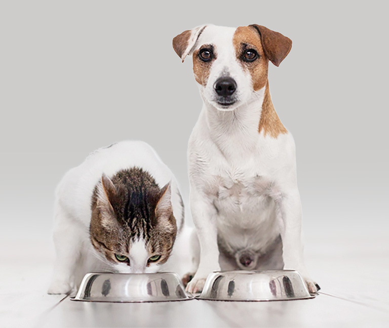 Pourquoi acheter à VETLÉMAN ?