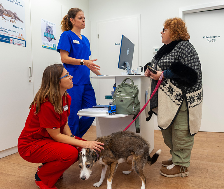 Récupération en fin de journée