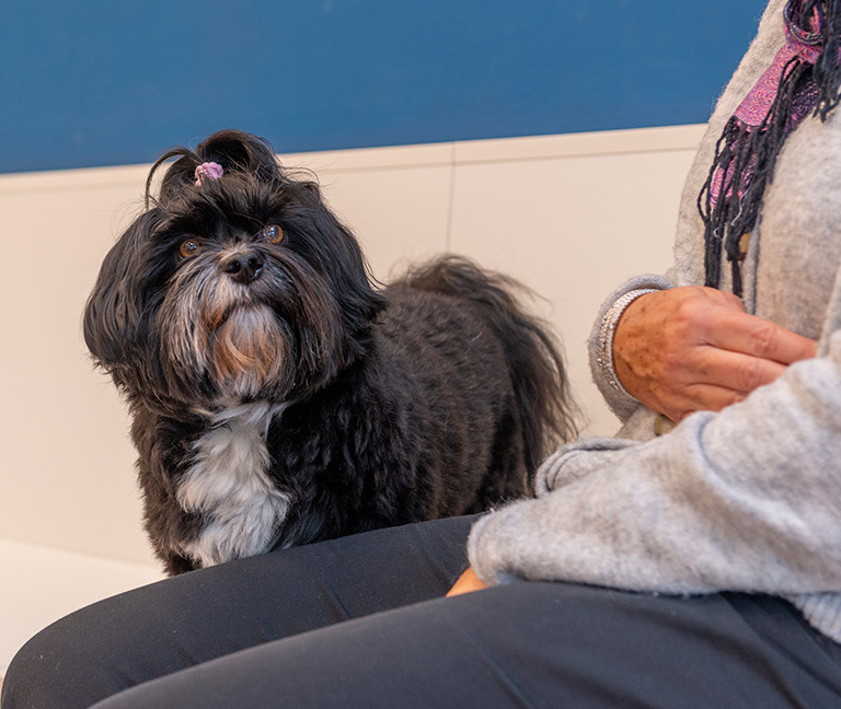 Une équipe à votre écoute