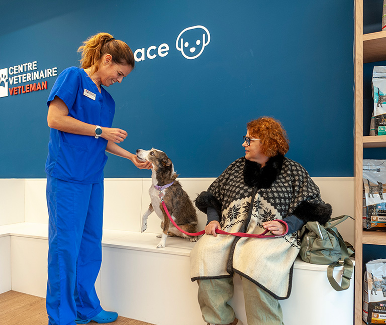 Une prise en charge complète et réactive