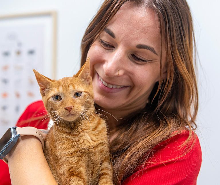 Une technologie au service du bien-&ecirc;tre animal