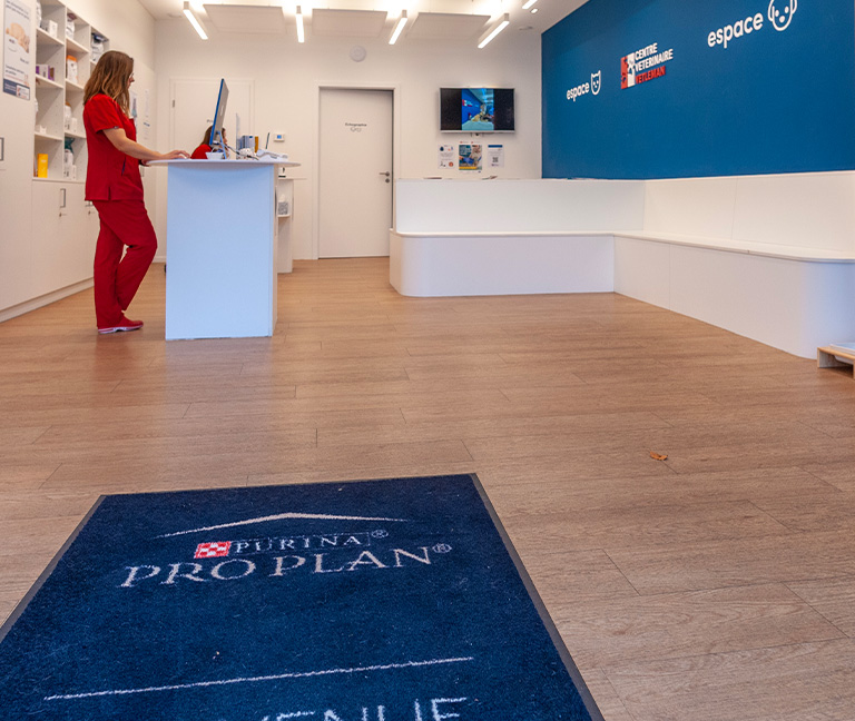 Urgences vétérinaires