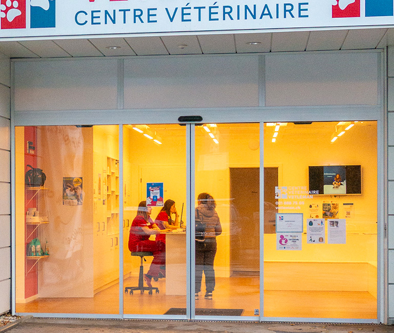 Dépôt de votre animal