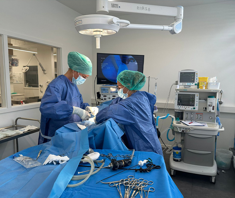 Chirurgie des tissus mous