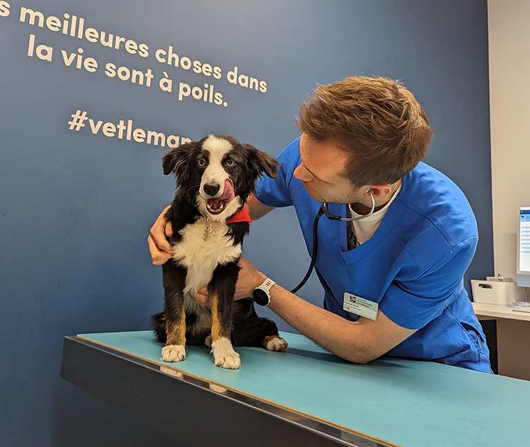 Première consultation