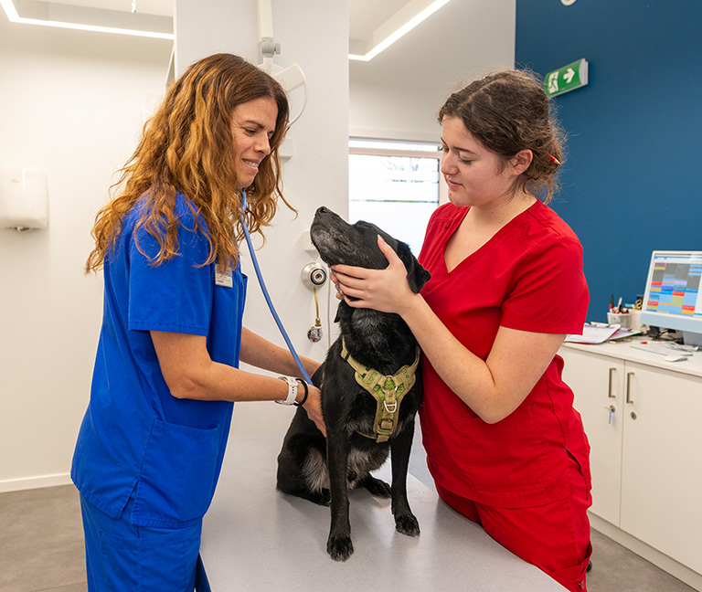 Nos examens et traitements