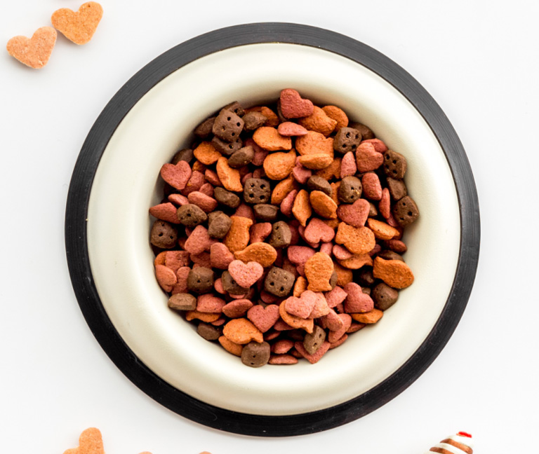 Consultations v&eacute;t&eacute;rinaires en nutrition