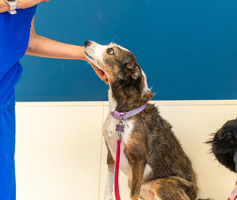 Un accompagnement personnalisé