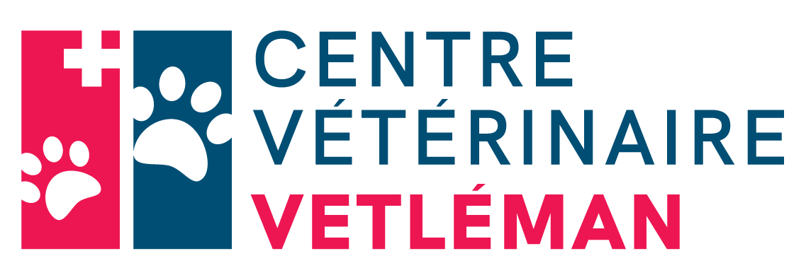 vetleman-logo-horizontal